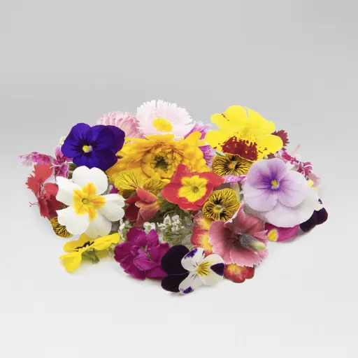 Edible Flowers (case)