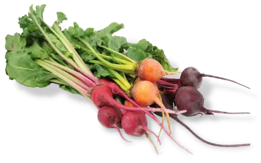 Mix Baby Beet (2lb)