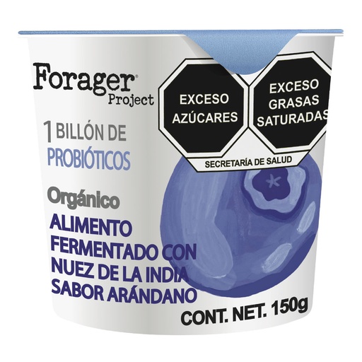 Organic Blueberry Yogurt Forager (ea)
